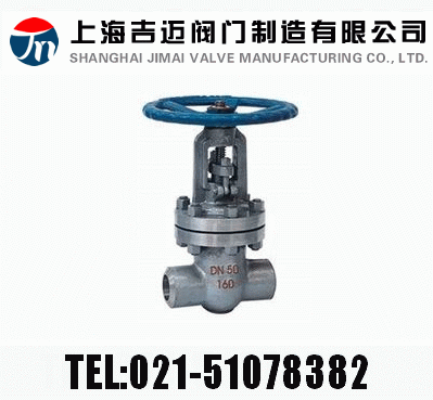 Z61HZ61YZ61W  PN100~PN160 в庸Шʽly
